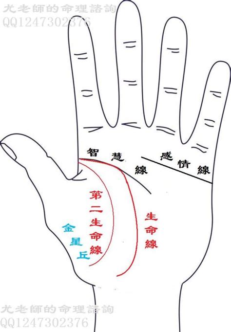 生命線分兩條|手相大全——生命線